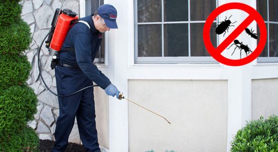 Toroslar Dezenfeksiyon böcek ilaçlama ve haşere kontrolü — ilaclama-tr.com